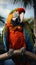 Feathered duo Two striking macaw parrots find a perch on the man\\\'s arm