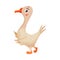 Feathered Goose as Farm Bird Walking in Yard Vector Illustration