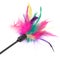 Feathered Pole Cat Toy on White Background