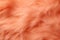 Feathered Texture. Peach Fuzz background