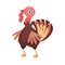 Feathered Turkey as Farm Bird Walking in Yard Vector Illustration