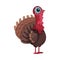 Feathered Turkey as Farm Bird Walking in Yard Vector Illustration