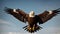 Feathers of Freedom: The Powerful Soar of an Eagle Against the Blue Sky
