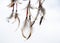 Feathers, laces and beads, part of a Dreamcatcher, on a light background.