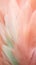 Feathers in pastel colors in shades of pink, peach, and green. Feathers texture background. Use as Backdrops for design