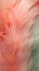 Feathers in pastel colors in shades of pink, peach, and green. Feathers texture background. Use as Backdrops for design