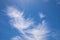 Feathery cirrus clouds against a bright blue sky