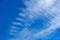 Feathery clouds in the blue sky. Light cirrus clouds against the blue sky