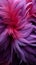 Feathery elegance in hues of purple, ideal for banners and illustrations