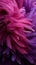 Feathery elegance in hues of purple, ideal for banners and illustrations