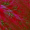 Feathery red, black and green abstract background