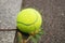 Features of tennis