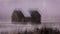 FEB 14, 2019 - COLORADO, USA Deserted Cabin in Old West - Colorado - in snow storm