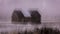 FEB 14, 2019 - COLORADO, USA Deserted Cabin in Old West - Colorado - in snow storm