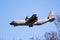 Feb 6, 2020 Mountain View / CA / USA - Lockheed C-130J Hercules aircraft, part of the United States Air Force 815th Airlift