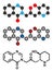 Febrifugine alkaloid molecule, first isolated from Dichroa febrifuga