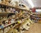 February 11, 2017 baby fluffy childhood Ukraine shelf softness with soft toys in the store
