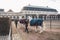 February 20, 2019. Denmark. Copenhagen. Training bypass Adaptation of a horse in the royal stable of the castle Christiansborg