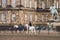 February 20, 2019. Denmark. Copenhagen. Training bypass Adaptation of a horse in the royal stable of the castle Christiansborg