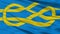 Federation of Vexillological Associations Flag Closeup View
