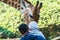 Feeding African giraffe  Giraffa camelopardalis in a zoo,  an African even-toed ungulate mammal, the tallest living terrestrial