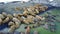 Feeding base of walruses on shores of Arctic Ocean on New Earth Vaigach Island.