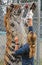 Feeding of Bengal Tiger