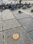 Feeding Birds with Sunflower / Kernel Seeds in Istanbul Streets. / Turkey.