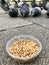 Feeding Birds with Sunflower / Kernel Seeds in Istanbul Streets. / Turkey.