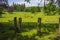 Feeding cattle in the United Kingdom