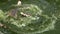 Feeding of Crocodiles Lying on the Ground near the Green Marshy River in zoo. Thailand. Asia