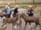 Feeding deers, Nara, Japan