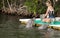 Feeding Dolphins