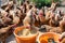 Feeding the free-roaming hens on the farm. All the hens rush towards the buckets with the food and one has managed to be the first