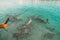 Feeding frenzy of blacktip reef sharks in the Maldives, as a male hand uses an action camera to film the sharks