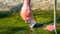 Feeding in green algae rich water rosy Chilean flamingo at sunset, closeup, details