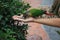 Feeding Parrot on hand