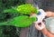 Feeding parrots in a bird park Singapore