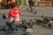 Feeding pigeons