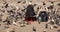 Feeding the pigeons. Elderly woman feeding pigeons on the street. Old lonely woman feeding birds in the center of the