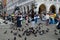 Feeding Pigeons Venice Italy