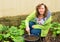 Feeding the rhubarb and raspberry plants, with home made compost. in March.