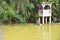 Feeding Show Of The Crocodiles In The Crocodile Farm In Kuching, Sarawak