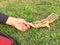 Feeding Small squirell in humayuns tomb