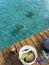 Feeding turtles in the Caribbean`s