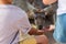 Feeding a Young red kangaroo in the park, Israel