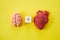 Feelings and mind concept. Brain plus heart on yellow background. Top view.