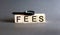 FEES Word block fine and magnifying glass on gray background. Income, expenses, tax