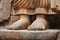 Feet of Avukana statue is standing statue of Buddha. Sri Lanka,