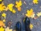 Feet in beautiful black leather smooth glossy shoes on yellow and red, brown colored natural autumn leaves on the pavement